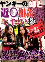ヤンキーの妹と近●相姦したい！（2）～ヤリマンなんだからお兄ちゃんにもヤラせろ