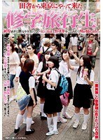 修学旅行生