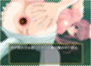 検便検査ゲーム。診察台の上で四つん這い脱糞する美女2人。問題がないか肛門に指も突っ込んでみよう･･･にゅぽん。